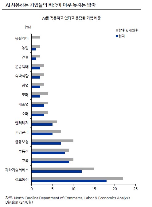 AI 시장 현황, AI 사용 기업들 비중 높지 않아.